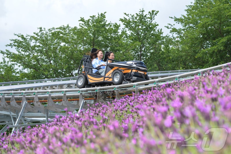<b>울산</b> 남구, 14~16일 장생포 '<b>웨일즈</b>카트' 야간 운행