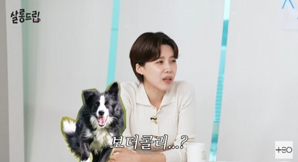 '<b>살롱드립</b>' 허경환 "장도연, 보더콜리 같아…뛰어다녀야 해"