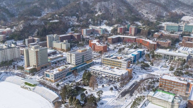 <b>전남광주</b>시, <b>전남</b>권 <b>국립의대 후보</b>에 '<b>국립</b>순천대학교' 선정
