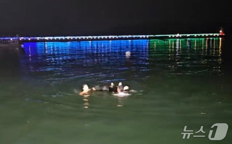 <b>창원</b>서 음주 측정 거부하고 도주하다 <b>바다</b>에 빠진 30대 구조