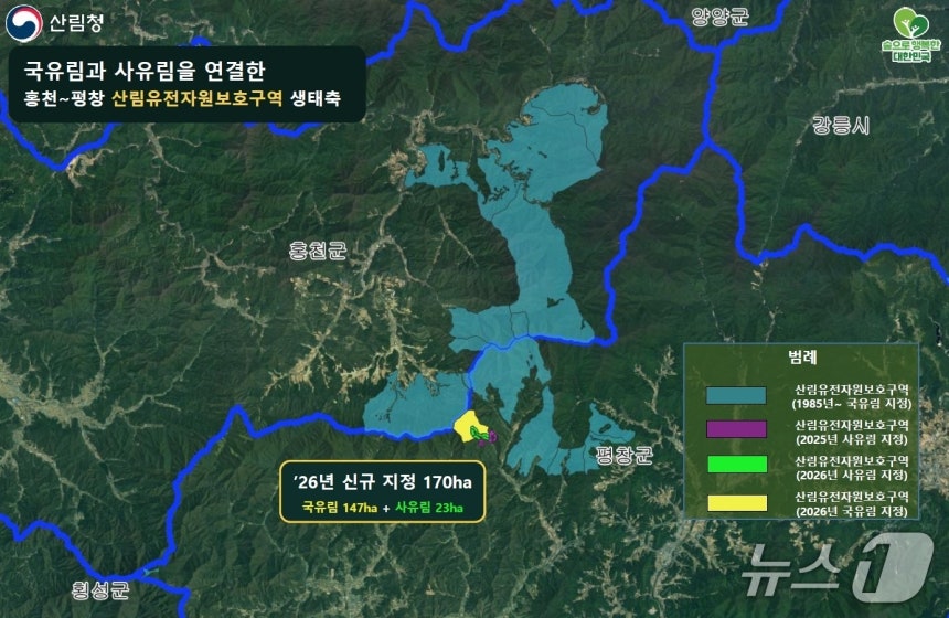 국유림과 사유림을 연결한 홍천-평창 산림유전자원보호구역 생태축 도면(산림청 제공.재판매 및 DB금지)/뉴스1