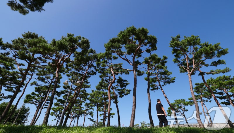 [오늘의 날씨] 전남광주(8일, 화)…맑은 가운데 일교차 10도 안팎