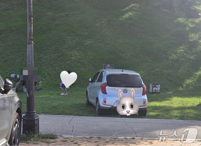 "공연 보겠다고"…경주 봉황대 잔디 위 '무개념 주차' 논란