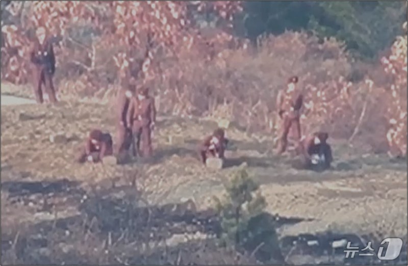 서부전선 <b>DMZ</b> 수색 중 <b>지뢰 폭발</b> 추정 사고…군인 2명 중상(종합)
