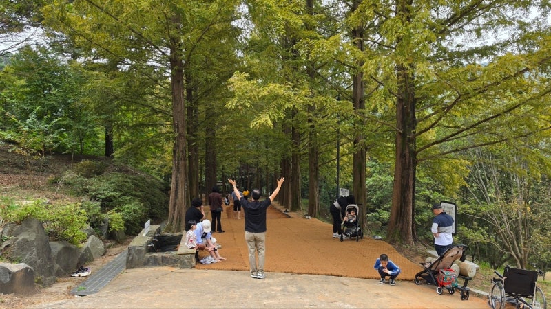 <b>금강수목원</b> 재개방 일주일 만에 6600명 방문…올해 말까지 무료