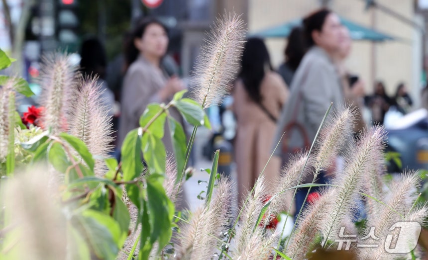 서울 아침 기온이 12도를 기록하며 쌀쌀한 가을 날씨를 보인 1일 오전 서울 종로구 광화문 네거리에서 직장인들이 출근을 하고 있다.2026.10.1 ⓒ 뉴스1 김성진 기자