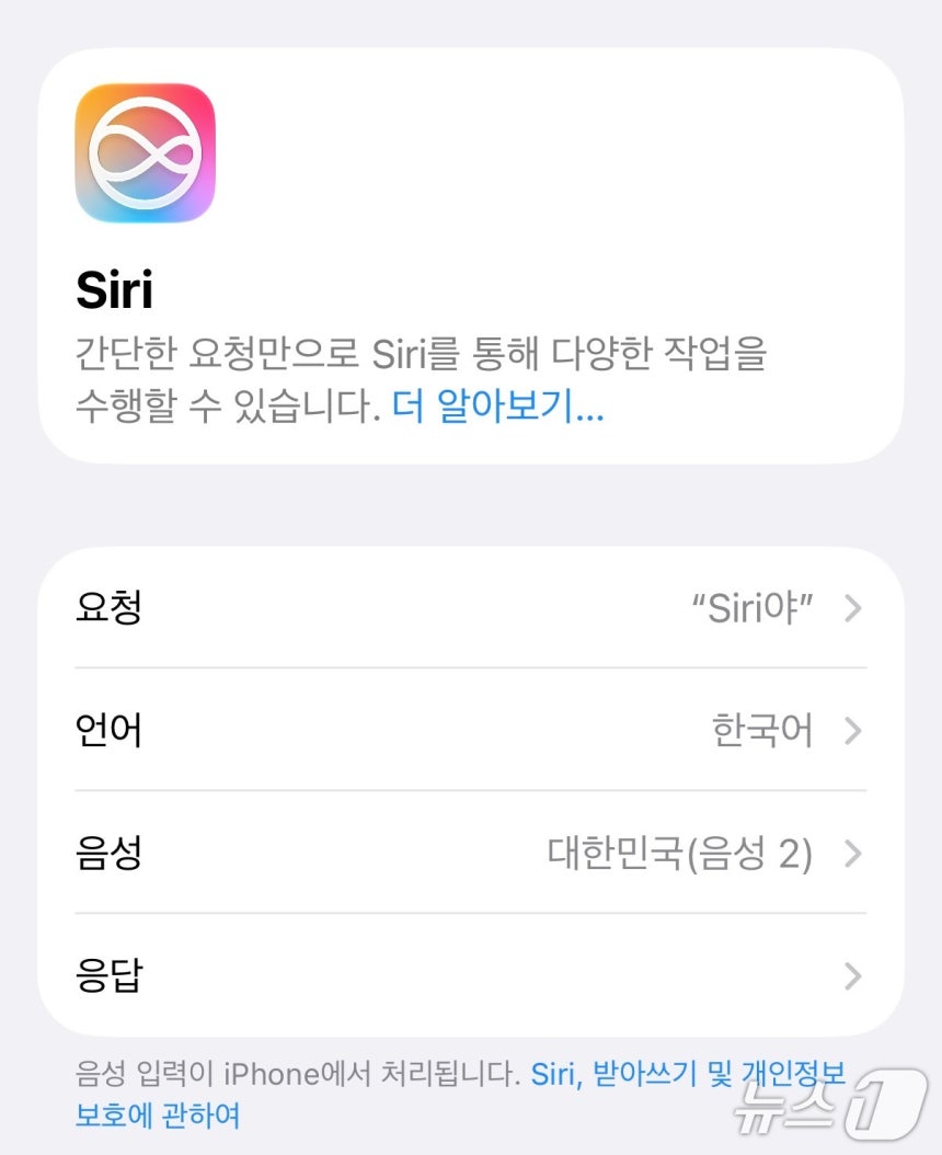 시리 앱에 들어가 기능을 활성화 한 뒤 에어팟을 낀 채 "시리야"를 부르면 휴대폰을 굳이 꺼내어 보지 않아도 에어팟만으로도 시리를 이용할 수 있다. ⓒ뉴스1 신민경 기자