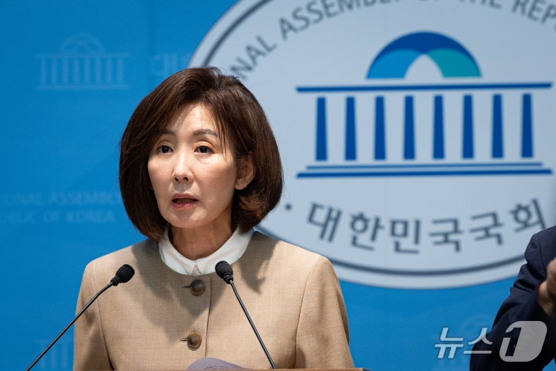<b>나경원</b>, <b>우크라</b>에 '北포로 송환' <b>감사 서한</b>…與 "어느 나라 의원이냐"(종...