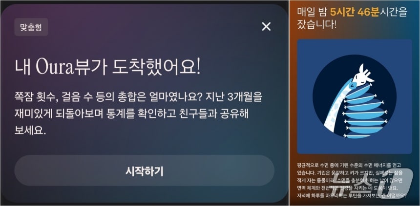 90일 간의 건강수치 측정 결과를 분석해 다양한 인사이트를 제공하는 오우라링5(오우라 앱 갈무리)/뉴스1