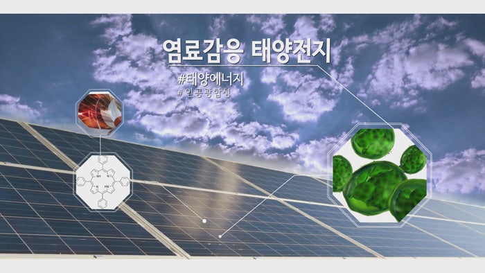 '미래먹거리 청색기술산업 육성' 경산시 고군분투 - 뉴스 썸네일 이미지