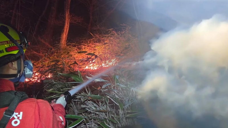 경남 <b>산청 산불</b>에 '<b>3단계</b>' 발령…160명 대피