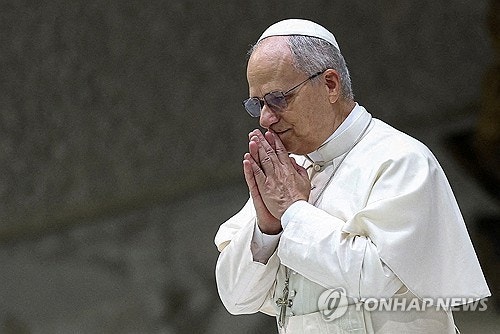 교황, <b>머스크 보너스 비판</b>…"CEO면 600배 받아도 되나"