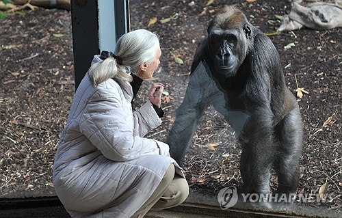 제인 <b>구달</b> "<b>트럼프</b>·<b>머스크</b>, <b>우주</b>로 보내버리고 싶어"