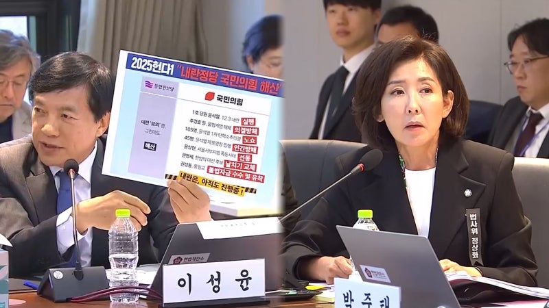 '<b>재판소원</b>' <b>논쟁</b> 벌어진 헌재 국감…서로에게 "위헌정당"