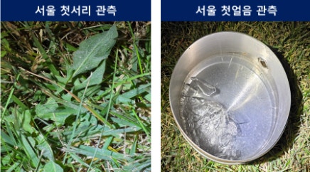 "춥다 추워" 기습 <b>초겨울 추위</b>…서울 첫서리·첫얼음 관측