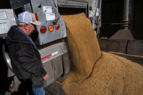 미국의 한 곡물 상점 [연합뉴스 제공]