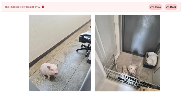 AKR20251107143430XYn_01_i_20251109060015284.jpg?type=w800