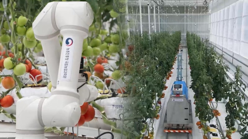 693497_1763585010_20251120064006799.jpg?type=w800