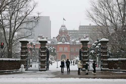 14일 오후 눈 내린 홋카이도 삿포로시 모습.[교도=연합뉴스 제공]