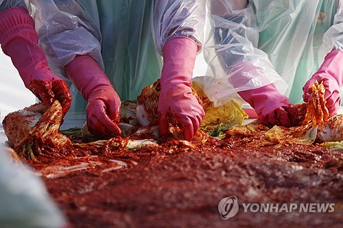 김장 김치 [연합뉴스 제공]