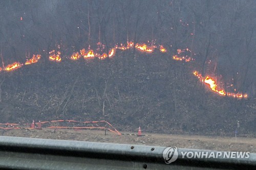 산불(기사와 직접적으로 관련 없음) [연합뉴스]