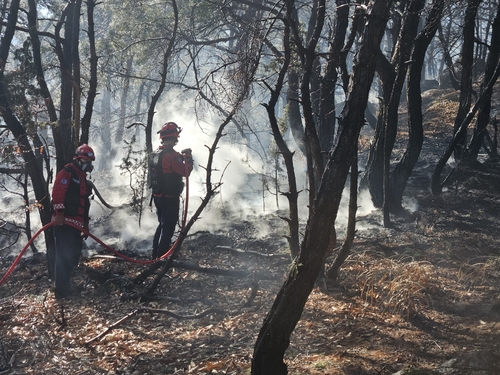 경주 산불 주불 진화 [산림청 제공.재판매 및 DB 금지]