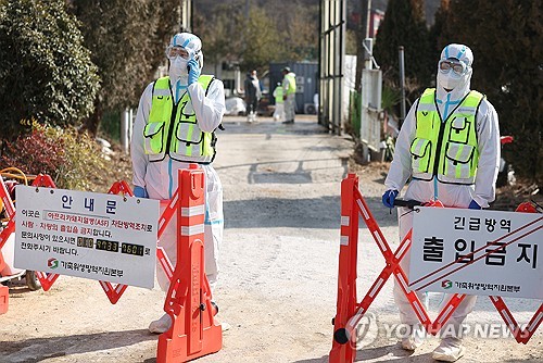 아프리카돼지열병 발생…현장 통제 [연합뉴스 자료 사진]