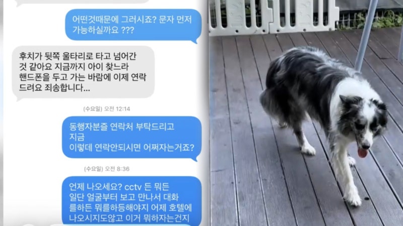 <b>애견 호텔</b>서 사망한 반려견…"도망쳤다" 거짓말까지