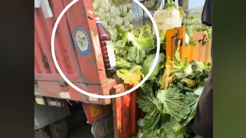 중국, '<b>포름알데히드 배추</b>' 관련자 3명 검거
