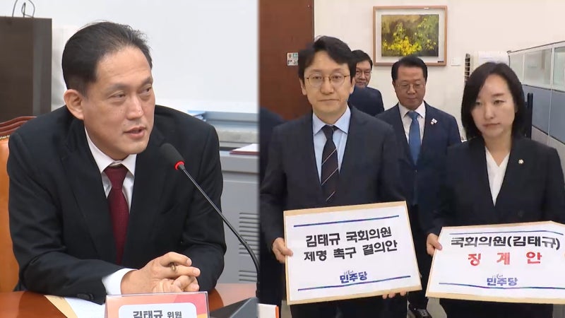 "<b>전두환 내란</b> 아냐"…與, <b>김태규</b> 제명촉구안 제출