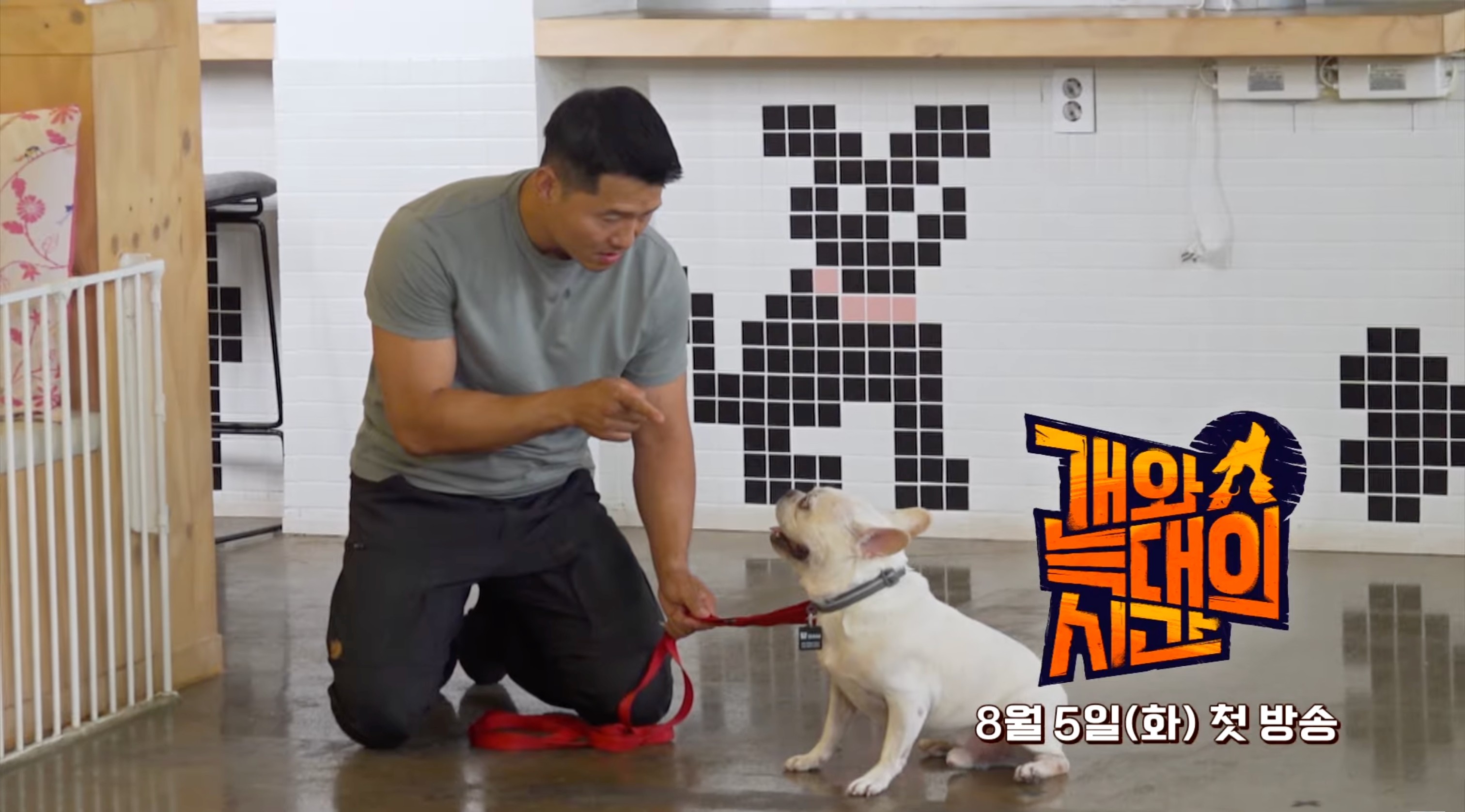 "개통령, 솔루션 돌아온다"…<b>강형욱</b>·<b>김성주</b>, '개늑시' 출연