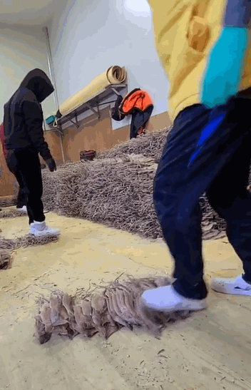 0000285944_002_20220108183501726.gif?type=w647