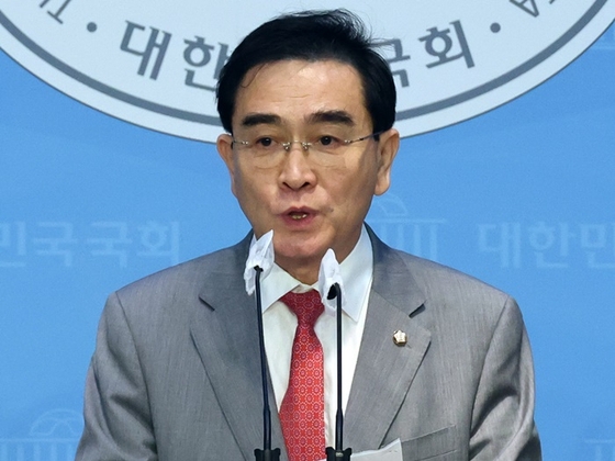 태영호 전 국민의힘 의원.〈사진=연합뉴스〉