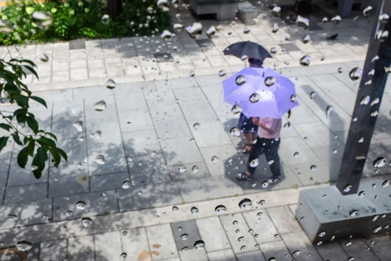 <b>수도권</b>·<b>강원</b> 가끔 비…낮 최고기온 36도