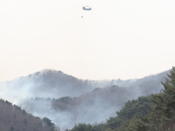 산림청장 "30일 오후 1시부로 <b>산청</b>·하동 <b>산불 주불 진화</b>"