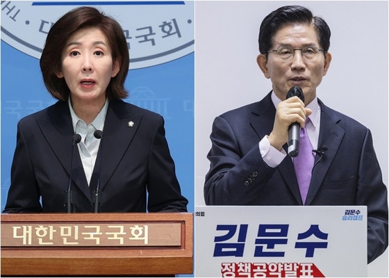 <b>나경원</b> "<b>김문수</b> 공개 <b>지지</b> 선언…'반이재명' 빅텐트 적임자"