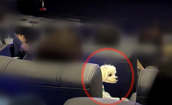 제보자가 공개한 사진. 〈사진=JTBC '사건반장' 방송화면 캡처〉