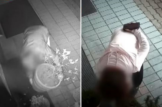 광주 매장 화분 털어놓고 버려진 거 주웠다고? 양심 어딨냐!