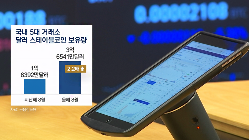 전세계 파고드는 <b>스테이블코인</b>…갈 길 먼 한국 / 풀버전
