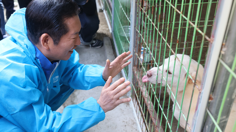 정청래 대표 취임 100일, 간담회 관례 깨고 봉사활동 선택