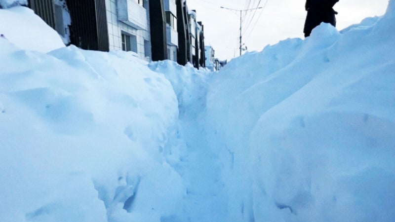 "한국도 직격탄 지역"…북극 해빙 녹자 전 세계가