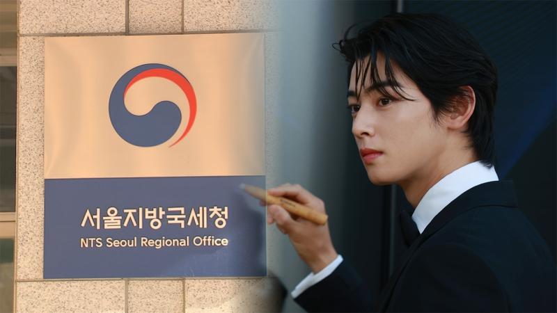 "차은우 100억은 거짓말 값"…법조계 "국세청 '저승사자' 떴다"