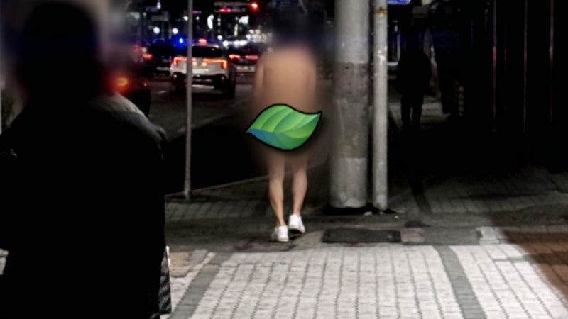 민망함은 누구의 몫?…알몸으로 길거리 활보한 남성
