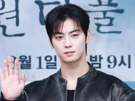 도청기로 차은우 말 엿들은 50대 여성…장비 수거하다 붙잡혀