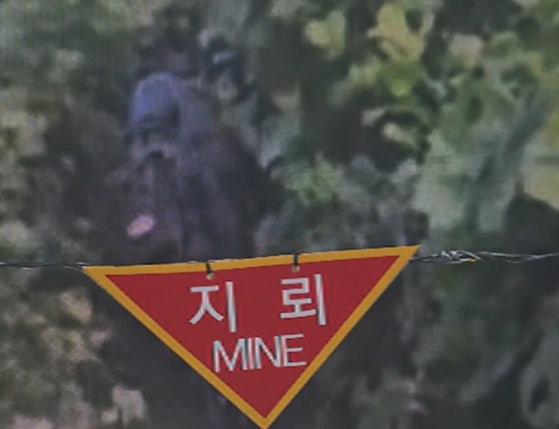 군, <b>DMZ</b> 3일차 현장조사 북한 수지 반보병 <b>지뢰</b> 1발 발견