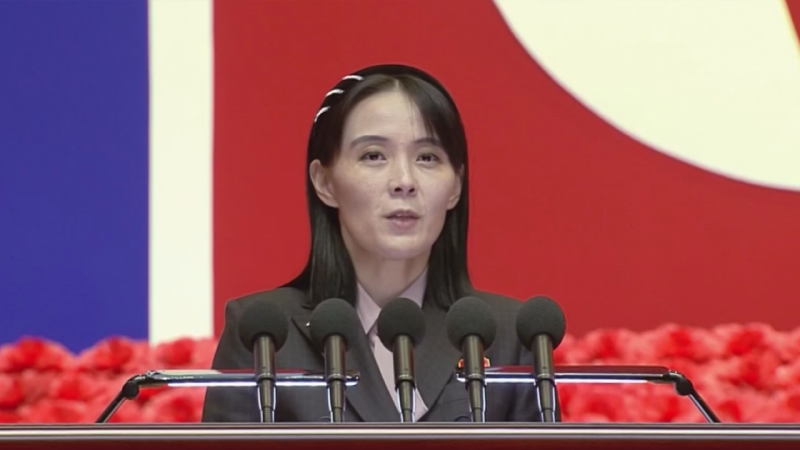 "당장 입을 닥치라"...<b>김병주</b> 겨냥한 <b>김여정</b> "<b>송사리</b> 같은 자가"