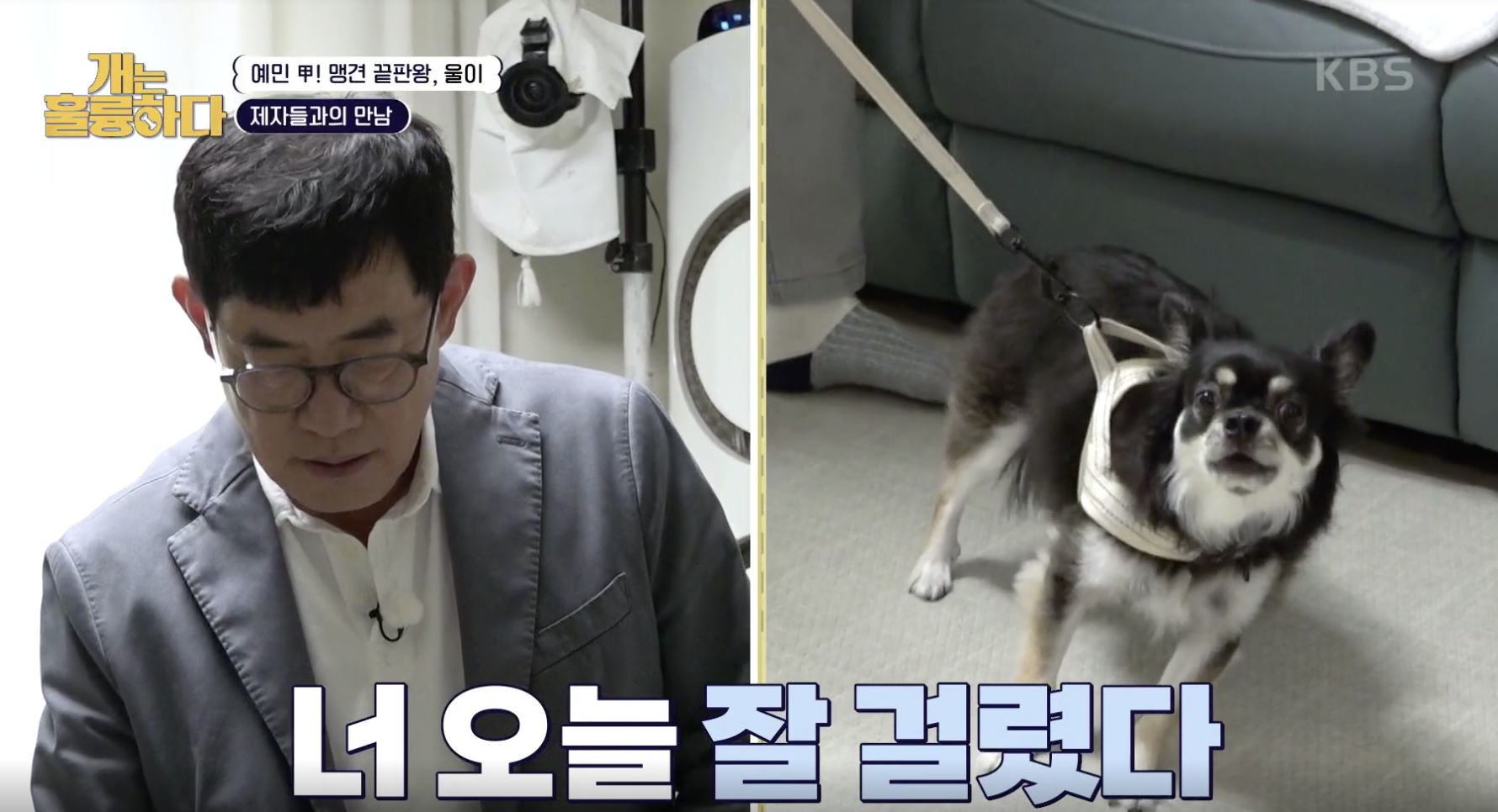 [개는 훌륭하다] “예전의 <b>이경규</b>가 아니야! 5kg 이하는 내가 교육해!”...