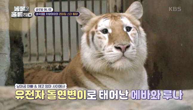 0000071191_001_20250303233910153.png?type=w647