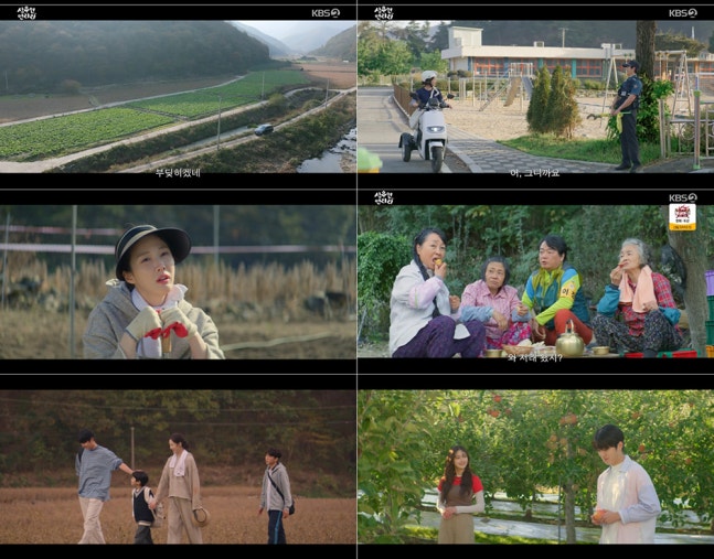 《愛在連理里》成泰勳家庭療癒生活與人情味深受觀眾喜愛