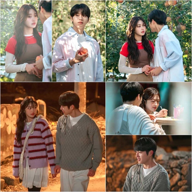 KBS劇集《愛在連理里》李津宇崔奎莉飾演純真青春愛情故事解析